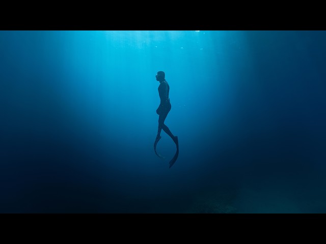 When a Diver Realizes They're Not Alone