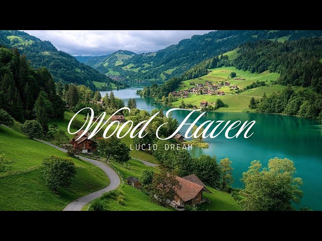 Wood Haven ~ Lucid Dream