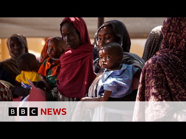 Mass killings probe in Sudan will hold culprits to account, UN says | BBC News
