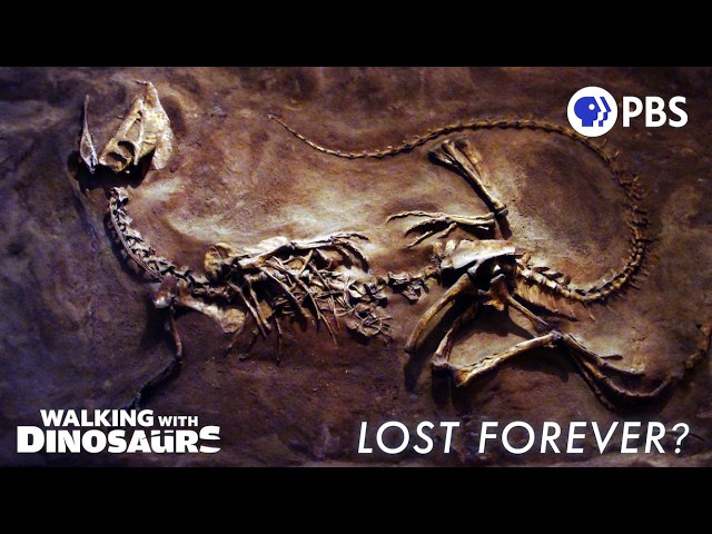 How Extreme Weather Can Reveal (And Destroy) Dinosaur Fossils | Walking with Dinosaurs Unearthed
