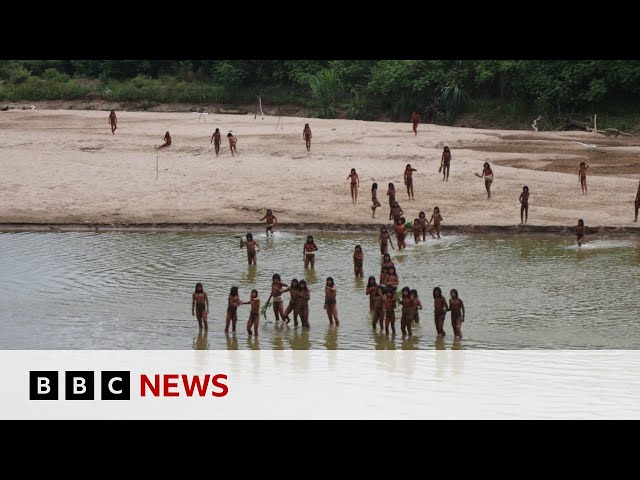 'Brothers in the forest' - the fight to protect an isolated Amazon tribe | BBC News