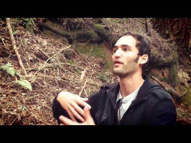 Return to Awe.  Jason Silva + Melodysheep