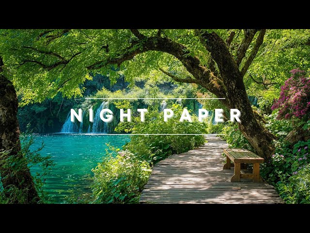 Night Paper - Lucid Dream