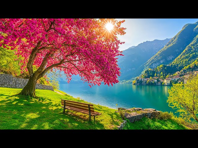 Музыка лечит сердце и сосуды🌸 Успокаивающая музыка восстанавливает нервную систему, расслабляя