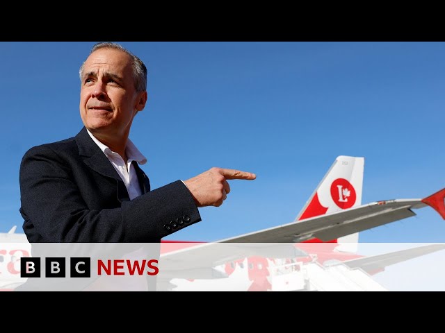 Carney's Liberals projected to win Canadian election | BBC News