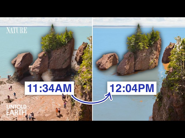 This Bay Moves 100 Billion Tons of Water Every Day