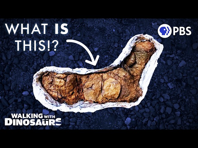 This Bizarre Fossil Reveals SO Much About Dinosaurs 🦖