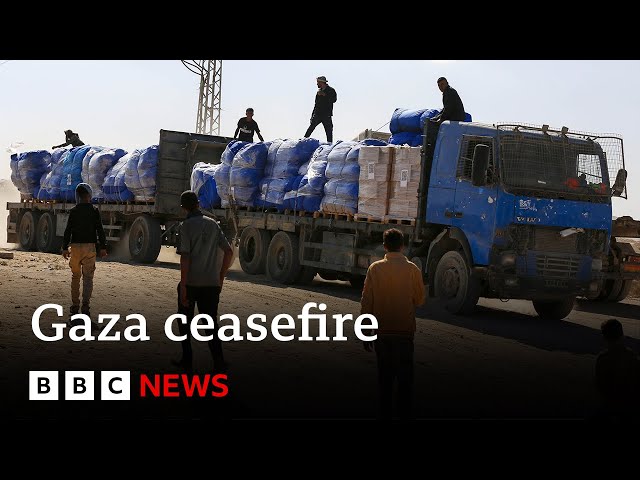 Seven Palestinians killed by Israeli forces in Gaza, Palestinian Civil Defence says | BBC News