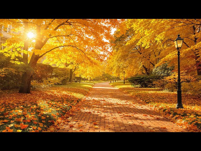 Красивая расслабляющая музыка 🍁 Перестаньте слишком много думать, музыка для снятия стресса