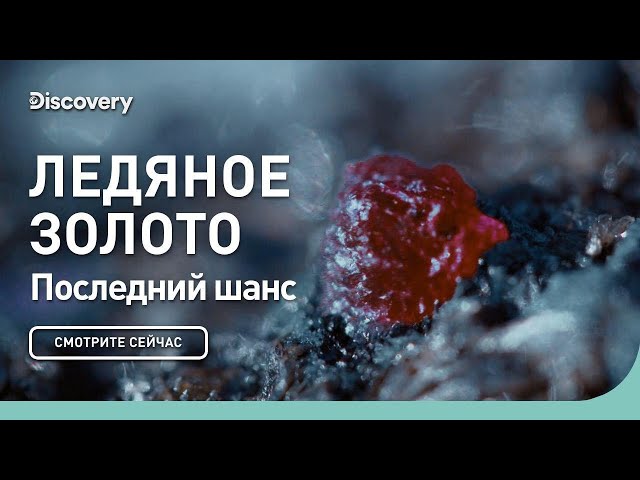 Последний шанс  | Ледяное золото | Discovery