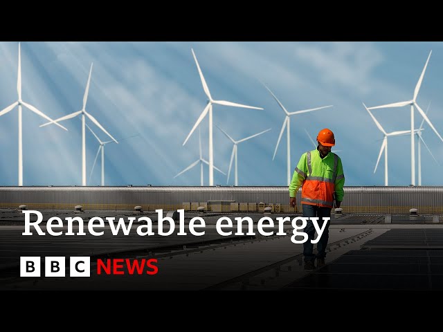 Renewables overtake coal as world's biggest source of electricity | BBC News
