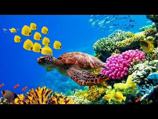 Нежная лечебная музыка здоровья и для успокоения нервной системы, глубокого релакса ! Скажи Жизни Да