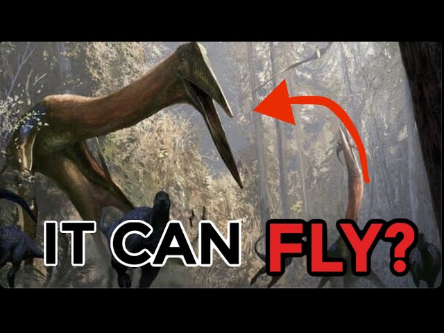 4 Flying Animals You Won’t Believe Are Real
