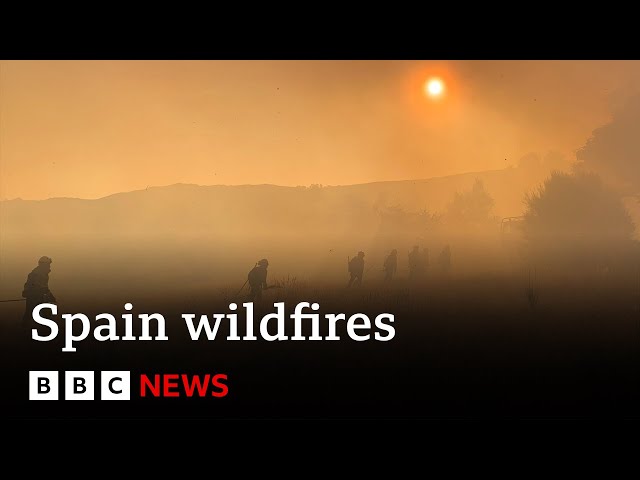 Spain counts the cost of 'nightmare' wildfire summer | BBC News