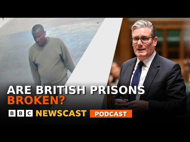 How was a migrant sex offender released from a UK prison by mistake? | BBC Newscast
