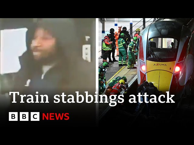 Cambridgeshire train stabbing suspect remanded in custody over attack | BBC News