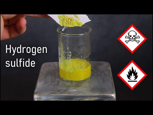 Making Hydrogen Sulfide From Common Household Materials | LabCoatz Shorts
