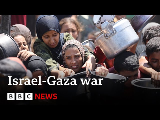 Famine in Gaza &#39;manmade crisis&#39; says statement by all UN Security Council members but US | BBC News