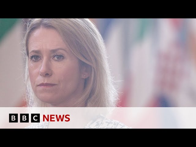 Proposed Ukraine land concessions are ‘Putin's trap’, EU diplomat says | BBC News