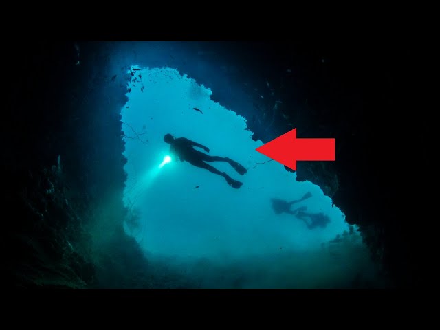 Cave Exploring Gone WRONG | The Four Sharks Blue Hole Cave Disaster