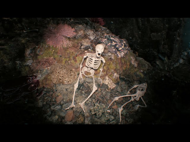 Thalassophobic | POV 05 - I found a Top Secret Facility in the Deep Ocean #thalassophobia #animation