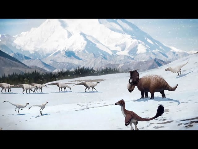 Where Are All the Dinosaurs Ice Ages? 